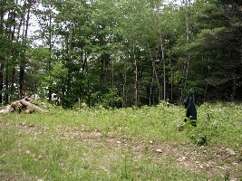 house site