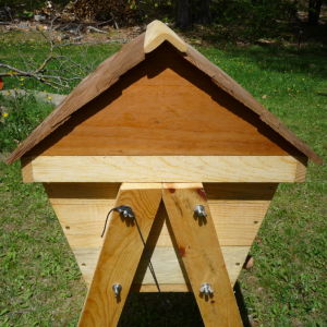 Pentagonal profile of hive